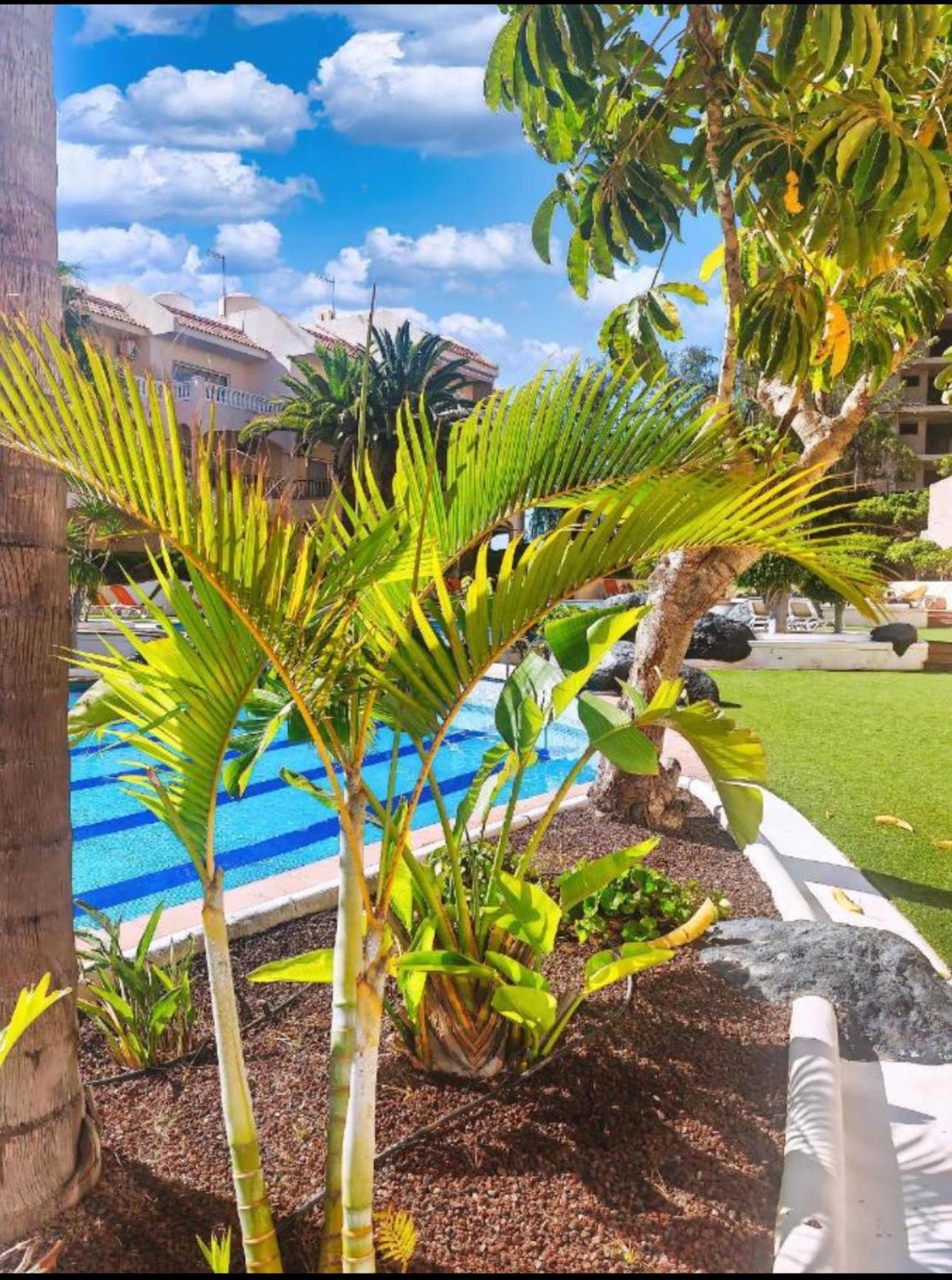 Heart And Soul Apartment San Miguel de Abona Exterior foto
